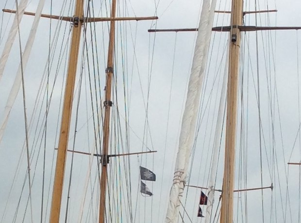 A Forest of Wooden Masts