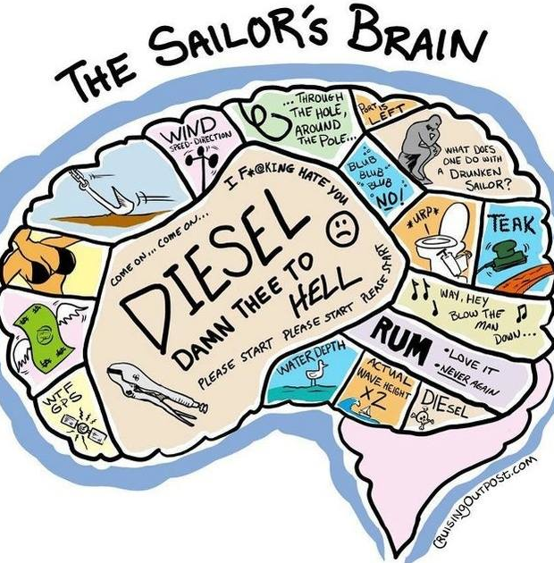 The Sailor's Brain